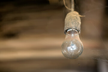 Old incandescent lamp in dust and cobweb on brown background