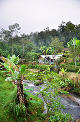 Fototapeta na wymiar Tropical landscape with rocky river and typical rural Indonesian house in the lush vegetation of the Jungle in West Java 