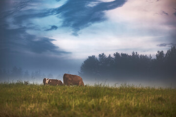 village © Bogdan