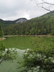 Green lake in the mountains -Summer landscape with lake and trees 