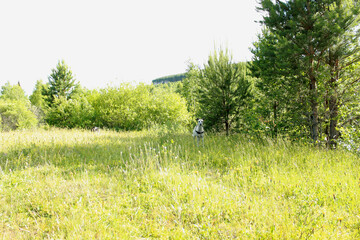 walk in the woods