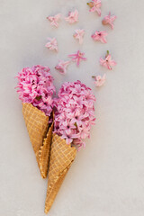Summer or spring concept. Ice-cream cones with pink hyacinthus.