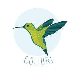 Vector illustration of colibri or hummingbird on blue.