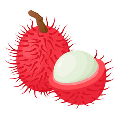 Exotic rambutan fruit, tasty juicy summer ingredient