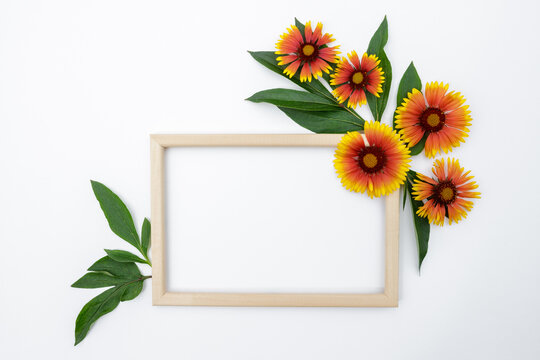 Flower composition. Frame of yellow-orange flowers on a white background, space for text. Spring background. Flat lay.