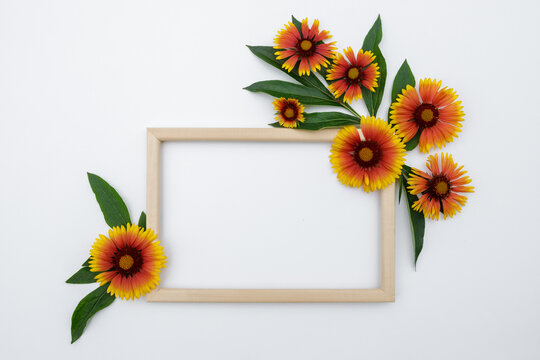 Flower composition. Frame of yellow-orange flowers on a white background, space for text. Spring background. Flat lay.
