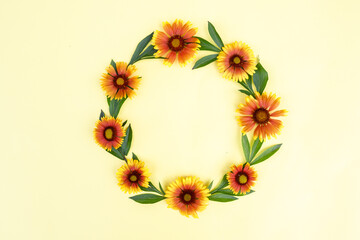 Round frame of yellow-orange flowers on a light background. Floral composition. Space for text, flat lay. Spring background.