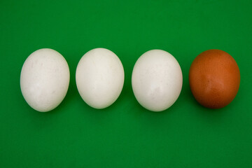 White eggs with a brown egg, as an accent on a green background