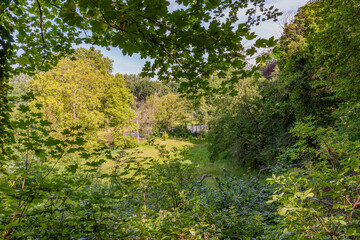 Fototapeta na wymiar Trees, undergrowth, abundant vegetation with green foliage in the forest a stream in the background seen from a hill, sunny spring day in South Limburg, Netherlands Holland