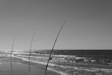 Three leaning fishing rods in a row sticked into sand of the North Sea coast waiting for a fish in black and white with nobody around on a sunny day