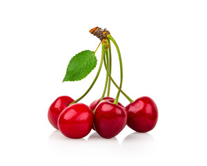 Sweet juicy cherries