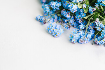 Forget-me-not flowers on the white paper background , copy space for design