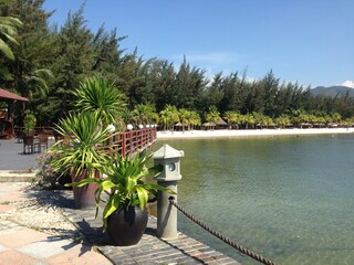 tropical resort with palm trees
