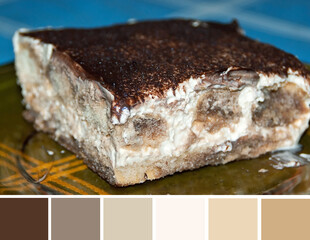The brown and beige gamma of the cocoa and cream of the delicious dessert tiramisu cake. Color palette swatches, natural combination of colors, inspired by nature.