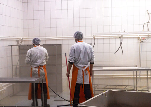 Disinfection of food factory