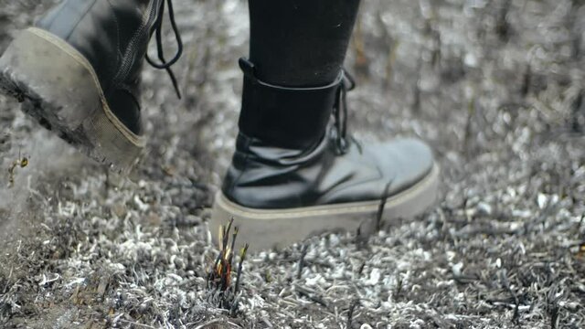 Legs Of Person In Leather Black Stylish Boots That Walk On The Ashy Earth Of An Uninhabited Field After Fire In Sunny Weather, Shot From Below In Slow Motion. Walk Girl In Black Boots On Burned Grass.