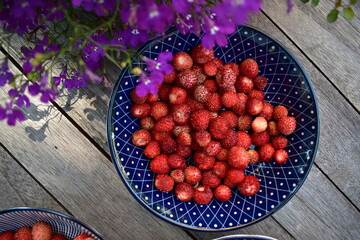 fresh wild strawberries in the bowl