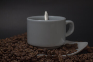 Coffee beans drying in the sun 