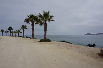 Playa tongoy en Chile