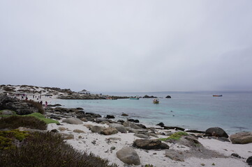 Isla damas una reserva natural en Chile Punta de choros