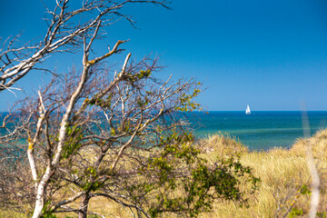 Baltic sea, Germany, Mecklenburg-Western Pomerania, Darß, Prerow, seaside