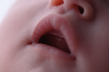 Detalhe macro da boquinha de um bebê onde mostra a gengiva
