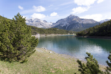 The Cancano lake in Bormio view