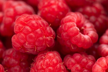 Raspberries Background