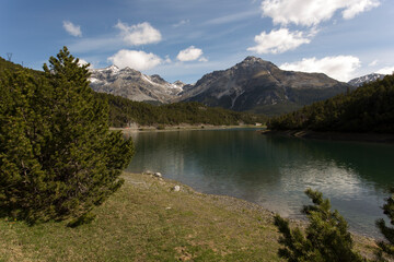 Fototapeta na wymiar The Cancano lake in Bormio view