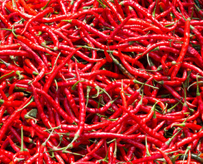 Fototapeta premium A red hot peppers background