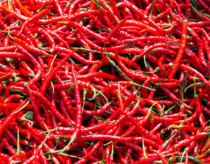 Fototapeta premium A red hot peppers background