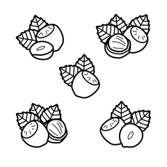 Hazelnut nuts set. Collection icon hazelnut nuts. Vector