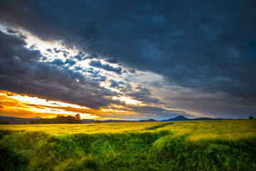 Beautiful sunset by the agriculture field with mountains in the background