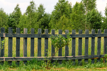  wooden fence in the village © Сергей Ржевский