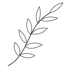 Tropical leave hand drawn vector sketche. Exotic plant, black ink illustrations. Outline floral design for website and mobile design. Monochrome floral postcard design elements for coloring