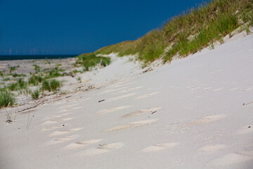 Baltic sea, Germany, Mecklenburg-Western Pomerania, Darß, Prerow, seaside
