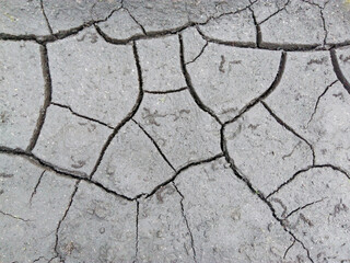 background textured with cracked earth peat gray