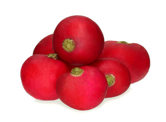 Radish isolated on white background