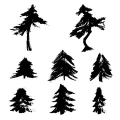 Set of vector fir trees silhouettes. Scenic textured spruces. Hand drawn illustration. Evergreen forest. Grunge tree stamps. Decorative elements for ecology, environment, Christmas design