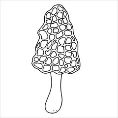 Set of different edible and poisonous mushrooms vector illustration isolated on white background.