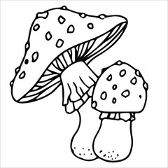 Set of different edible and poisonous mushrooms vector illustration isolated on white background.