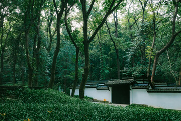 Traditional architecture in woods near Hangzhou Botanical Garden in Hangzhou, China