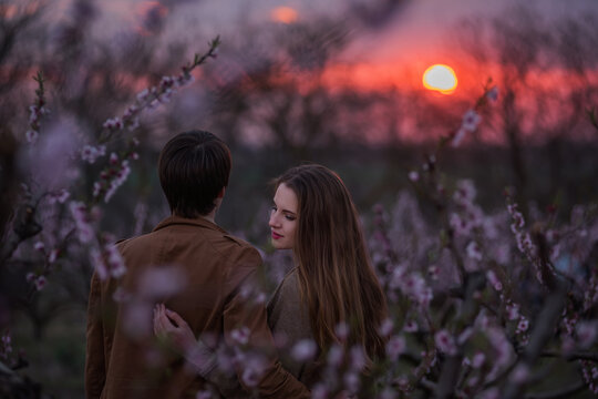 Young couple in love hug and kiss on the background of blooming gardens during sunset. A beautiful girl looks at the camera, a man kisses her on the lips and forehead. Wedding anniversary celebration,