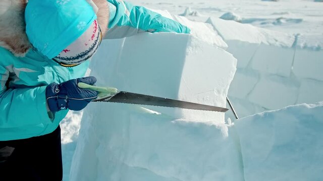 woman in blue winter jacket cuts white snow block with metal saw building igloo under bright sunlight close view