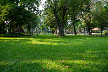 Dappled golf green grass in a city park