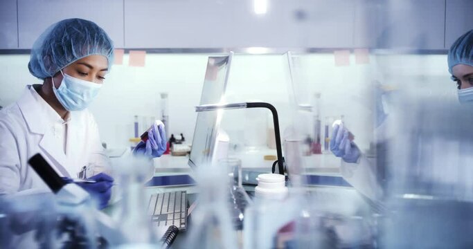 Female team working in modern laboratory. Studying genetic material with microscope. Using computer