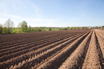 Fototapeta na wymiar Colours of spring - ploughed field ready to sow. Plowed field of potato in countryside. Agricultural fields in Russia.