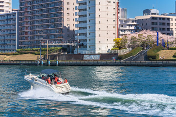 Obraz premium Motorboat sailing on the Sumida river in front of Sumidagawa Terrace lined with cherry blossoms trees.