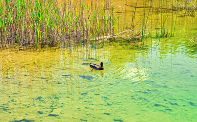 Lake View. The concept of vacation and rest in the fresh air. Spending free time after work.