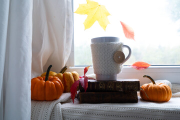 Fall leaves autumn background